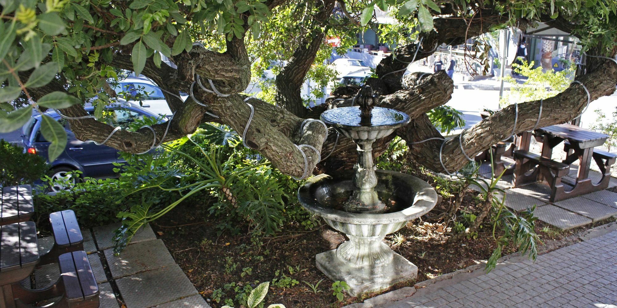 Dixon House In De Waterkant By Cape Finest Cape Town Ngoại thất bức ảnh